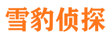 东乡族侦探公司